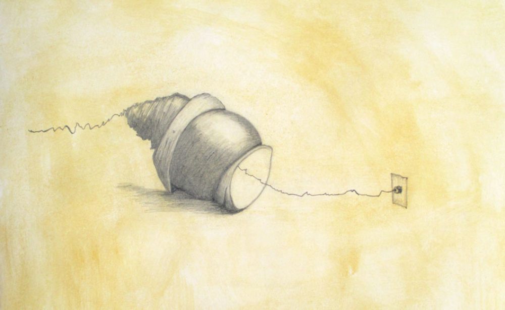 Branché II. Graphite sur papier. 2019.
